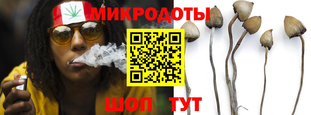 Галлюциногенные грибы мицелий  Вход с VPN  Курчалой  Галлюциногенные грибы мицелий 